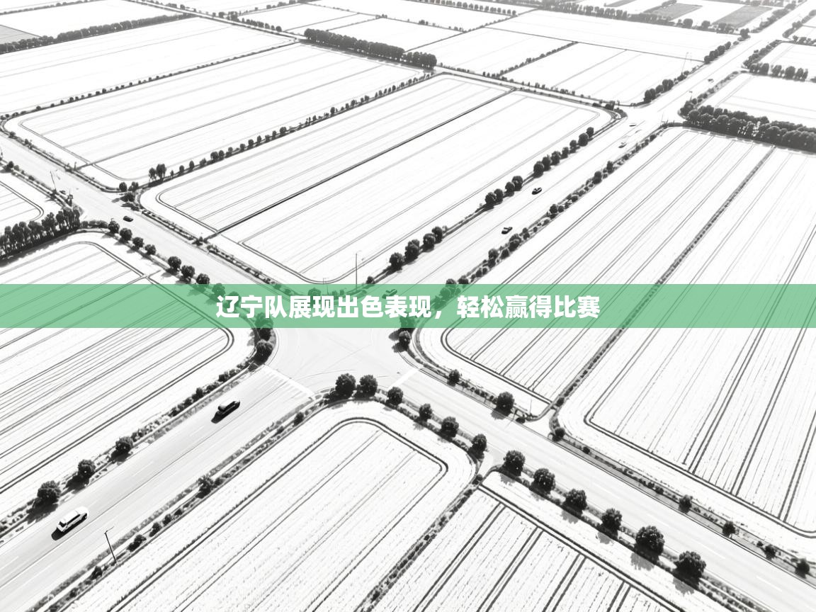 辽宁队展现出色表现,轻松赢得比赛 第2张