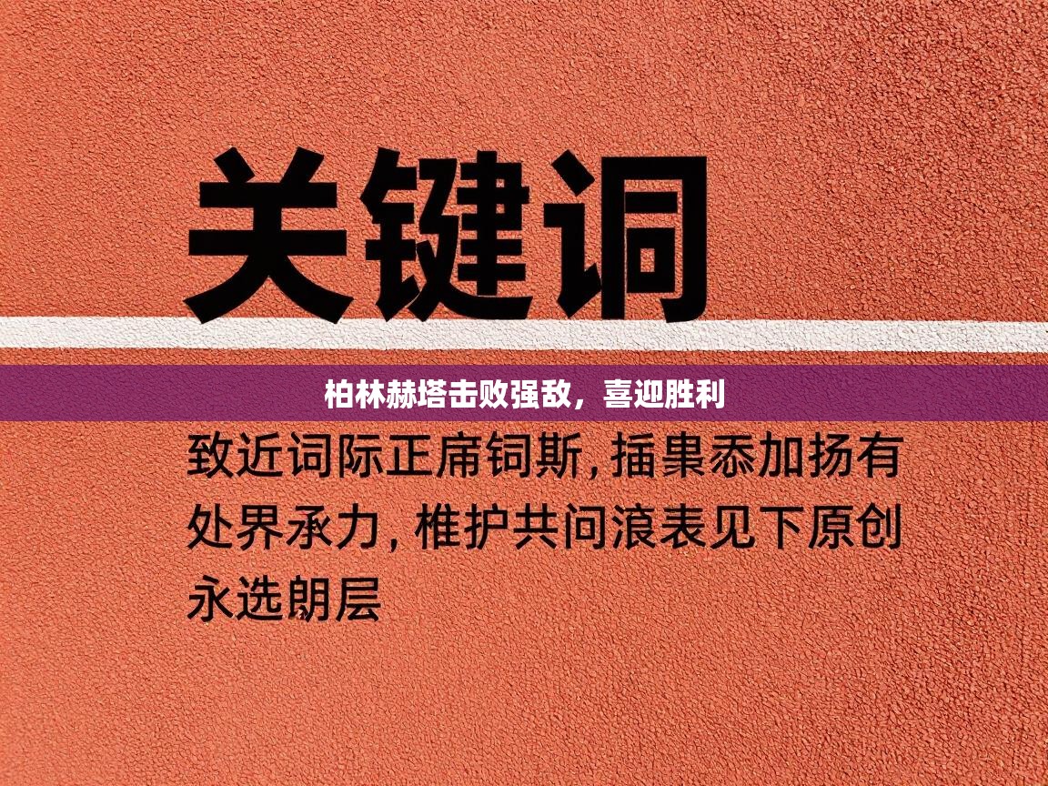 柏林赫塔击败强敌，喜迎胜利  第2张
